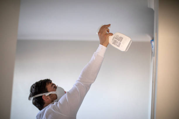 Best Emergency Mold Removal  in Kgsford Heights, IN