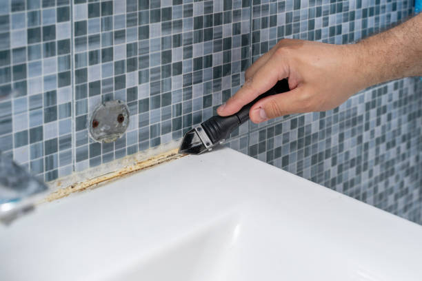 Mold Testing and Removal in Kingsford Heights, IN