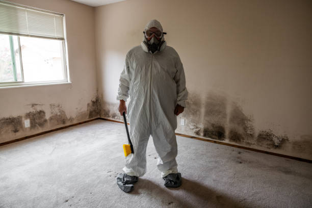 Mold Removal Process in Kingsford Heights, IN